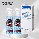 GATSBY ギャツビー ボディウォーター クレイジークール 無香料 170ml x2