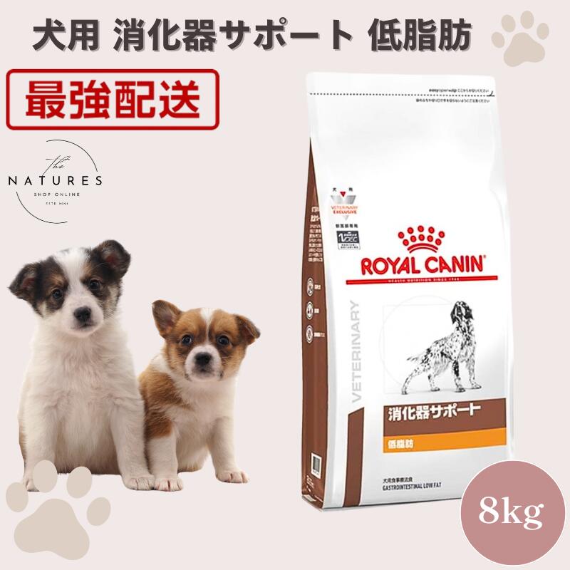 楽天市場】ロイヤルカナン 消化器サポート 低脂肪 犬用 8kgの通販
