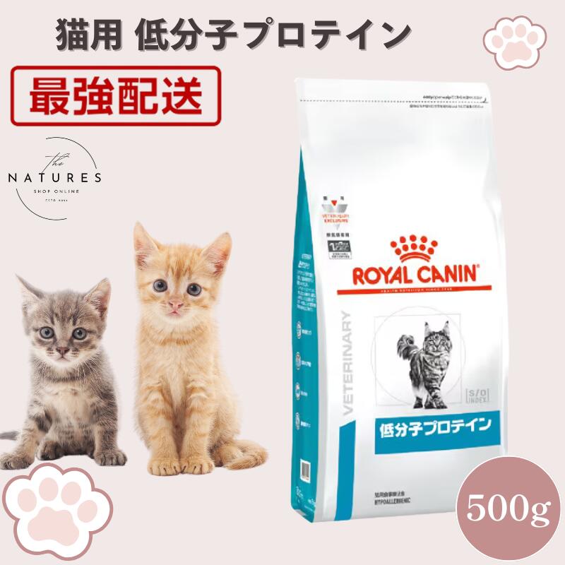 楽天市場】低分子プロテイン 猫用 2kgの通販