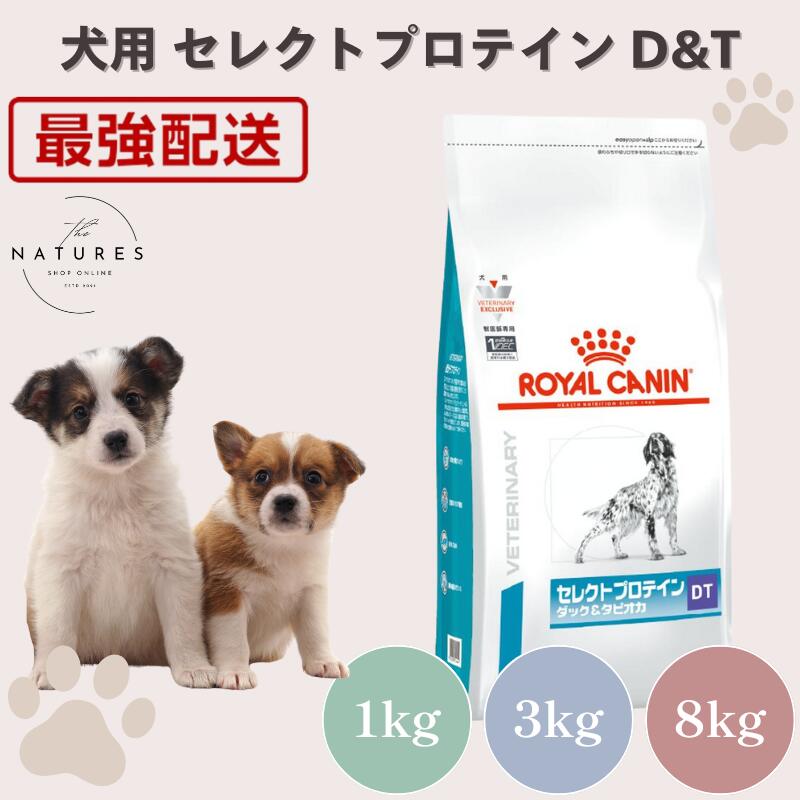 【病院認証不要 在庫限り】ロイヤルカナン 犬 ダックタピオカ 1kg 3kg 8kg