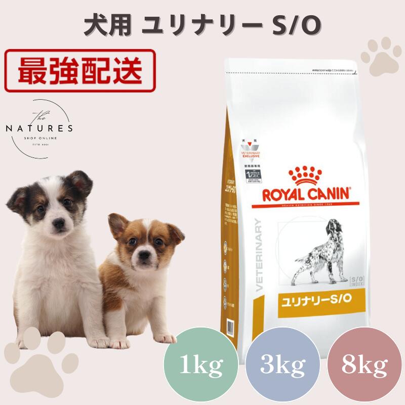 楽天市場】ロイヤルカナン ユリナリーs/o 8キロの通販