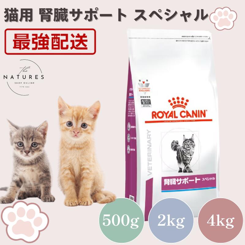 楽天市場】ロイヤルカナン 猫 腎臓サポート スペシャル 4kgの通販