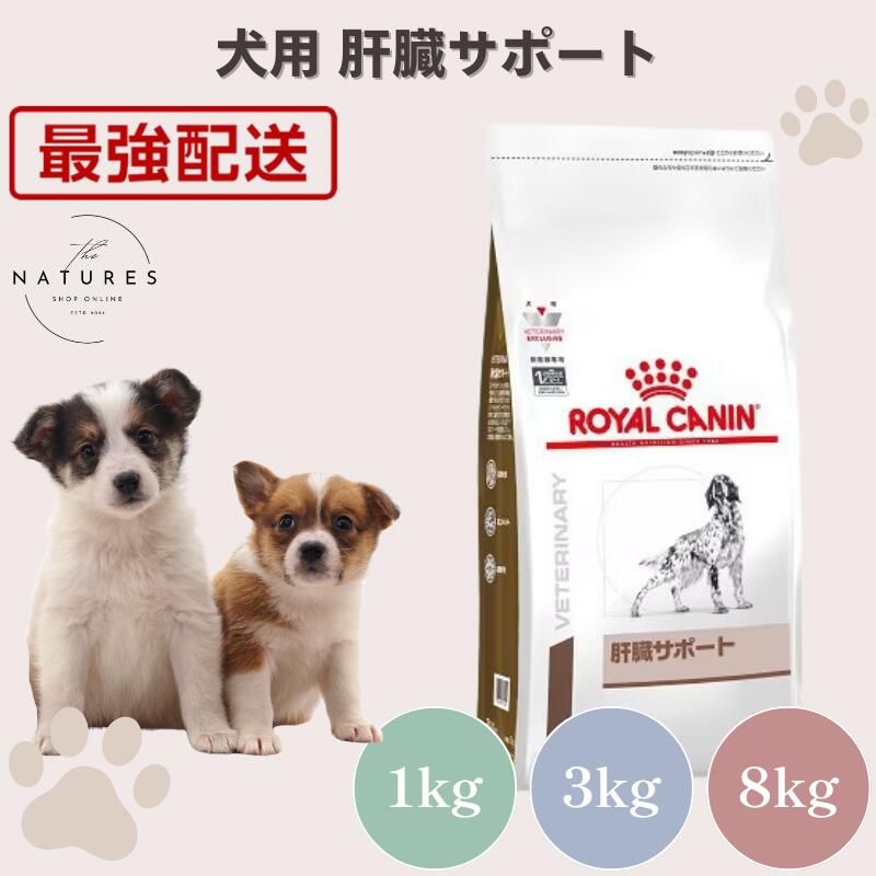楽天市場】ロイヤルカナン 肝臓サポート 8kg 犬の通販