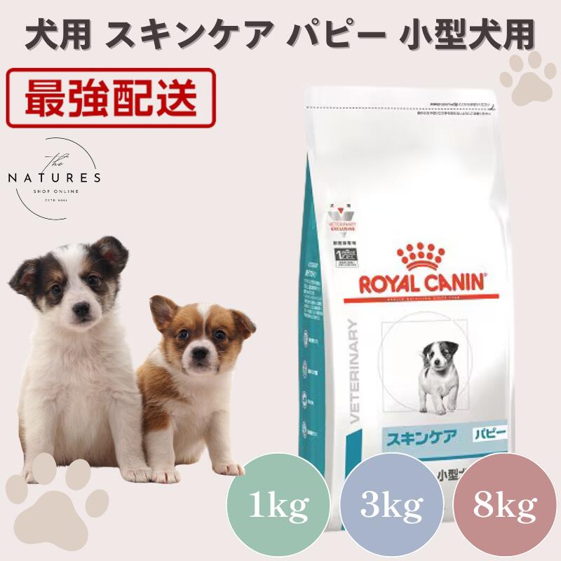 楽天市場】ロイヤルカナン 犬用 スキンケア 小型犬用s 8kgの通販