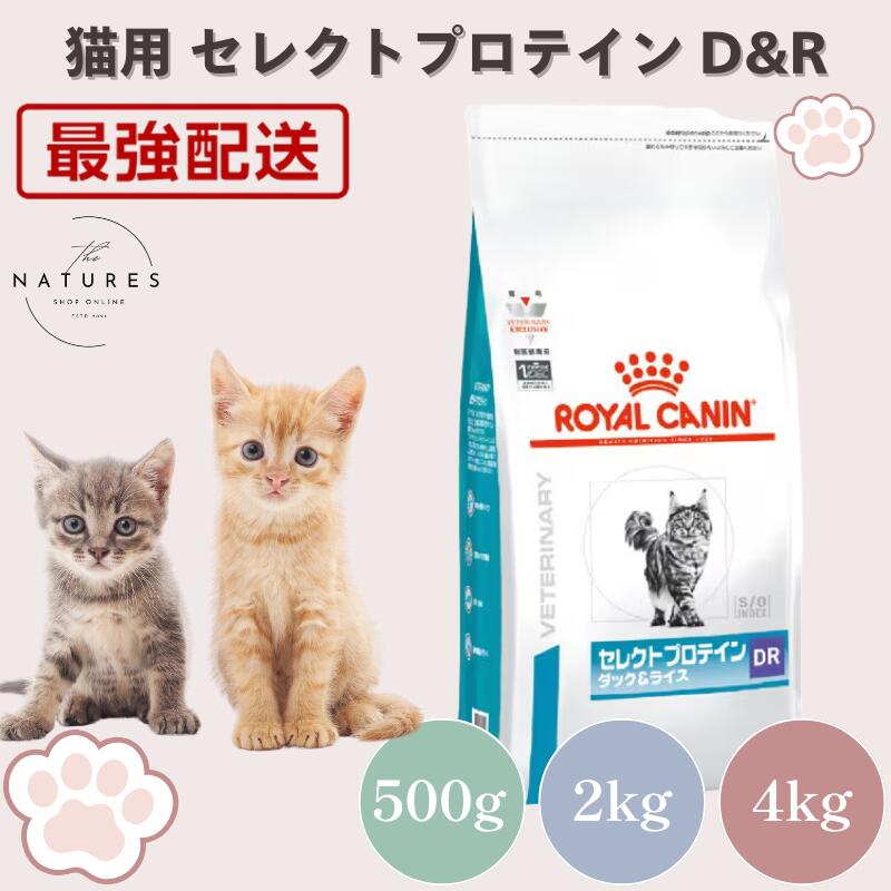 ロイヤルカナン 猫用 セレクトプロテイン ダック&ライス 4kg 1袋 Amazon | セレクトプロテイン ダック＆ライス 猫用 4kg×5 | ロイヤル