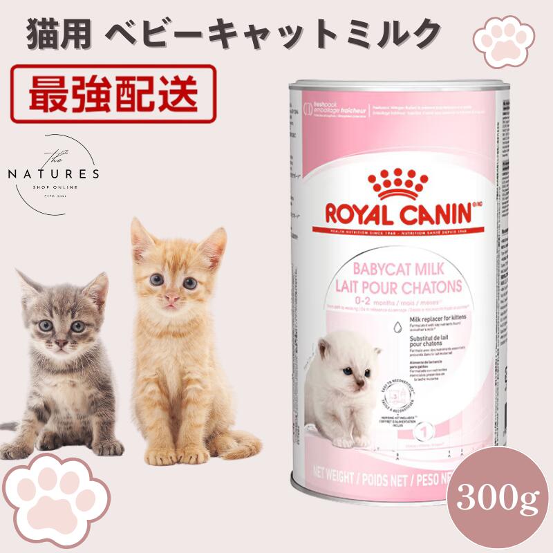 【病院認証不要 在庫限り】 ロイヤルカナン 猫 FHN ベビーキャット ミルク 300g