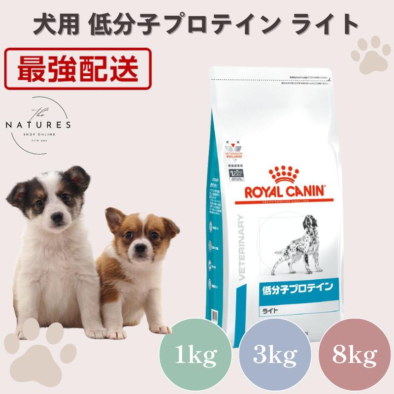 楽天市場】低分子プロテイン ライト 3kgの通販