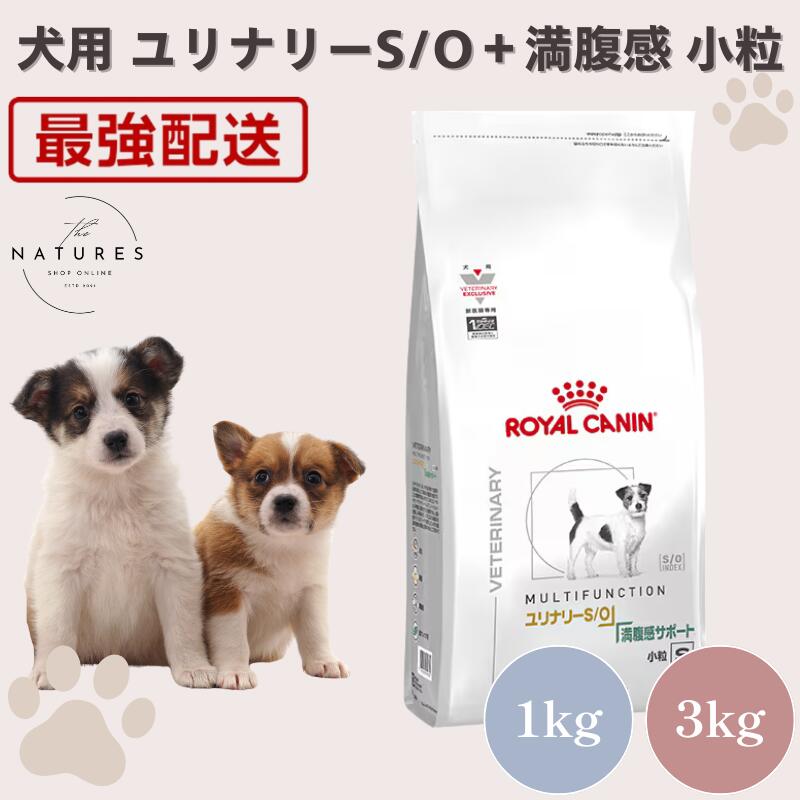 楽天市場】満腹感サポート 3kgの通販