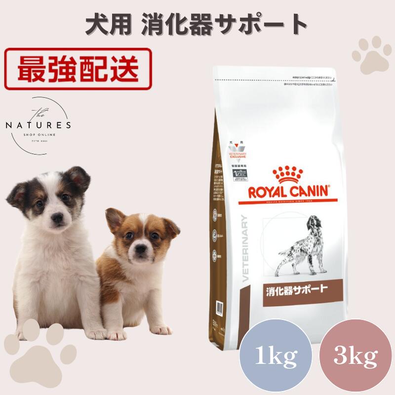 きらりさん専用　退院サポート缶 36缶入り きらりさん専用 退院サポート缶 36缶入り きらりさん専用 退院サポート