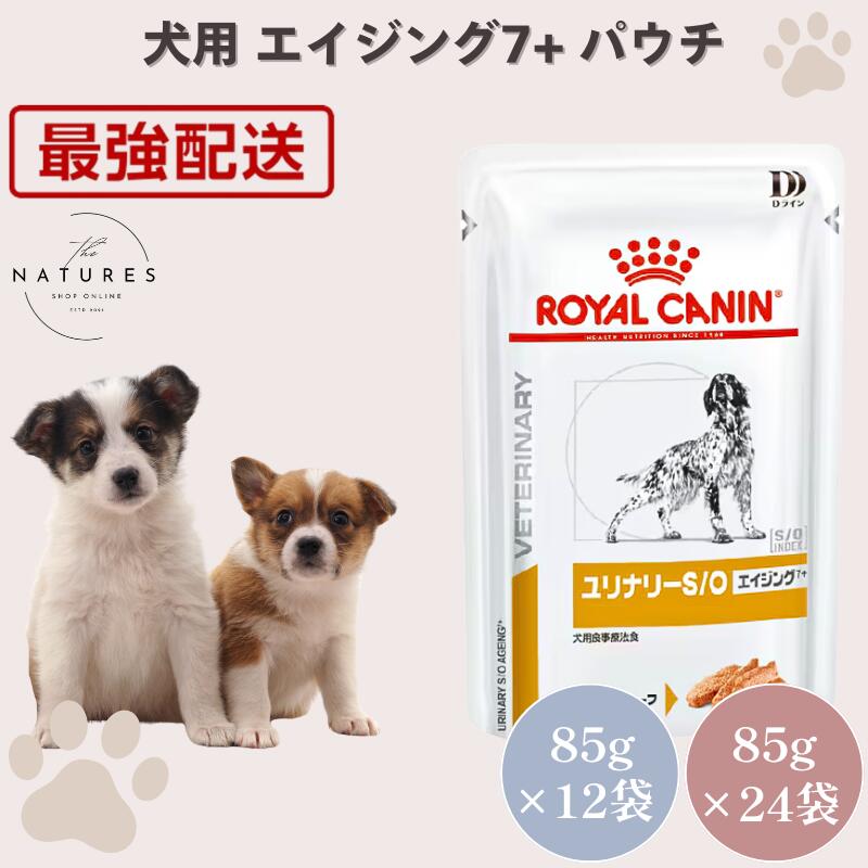 楽天市場】ロイヤルカナン ユリナリー エイジング（ドッグフード