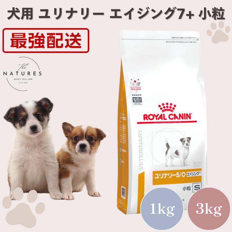 楽天市場】ロイヤルカナン ユリナリー エイジング（ドッグフード