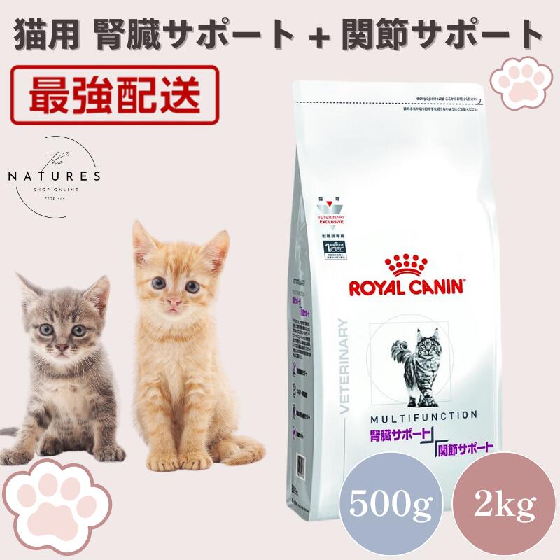楽天市場】ロイヤルカナン 腎臓サポート 2kgの通販