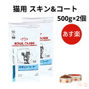 【病院認証不要 在庫限り】ロイヤルカナン 猫 スキン&コート ドライ 500g ×2個
