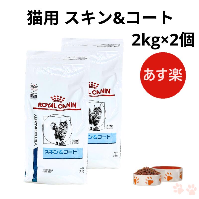 楽天Natures shop online 楽天市場店【お得な2個セット】ロイヤルカナン 猫 スキン&コート ドライ 2kg