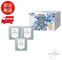GATSBY ギャツビー アイスデオドラント ボディペーパー 無香料 メンズ 30枚×3個