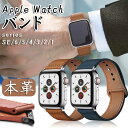 アップルウォッチ バンド メンズ レザー ビジネス 46mm apple watch バンド 革 アップルウォッチ ベルト series 10 9 8 SE2 7 6 SE 5 4 3 2 1 Apple Watch バンド ベルト 44mm 38mm 40mm 42mm 41mm 45mm 49mm レディース 人気 おしゃれ