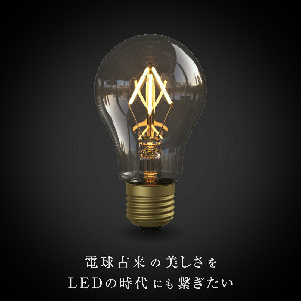 【3年保証 フィラメントLED電球「Siphon」ザ・バルブ A60 LDF110D】点光源タイプ E...