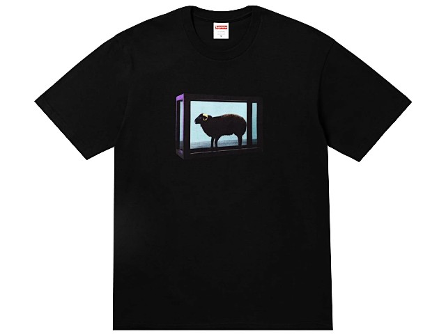 楽天市場】ダミアン ハースト tシャツの通販
