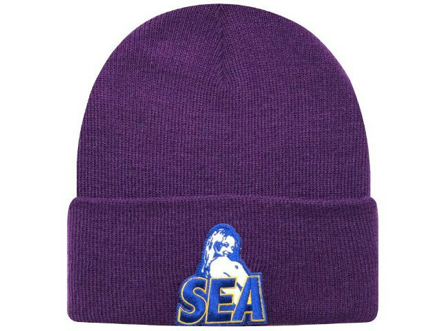 ヒステリックグラマー HYSTERIC GLAMOUR WIND AND SEA ウィンダンシー　コラボ 20AW 新品 紫 KNIT CAP ニットキャップ ビーニー パープル　PURPLE　折り返し