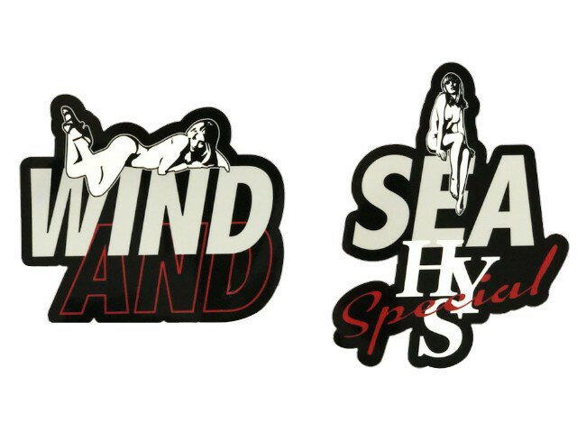 ヒステリックグラマー HYSTERIC GLAMOUR WIND AND SEA ウィンダンシー コラボ 20AW 新品 ステッカー 2枚セット STICKER SET