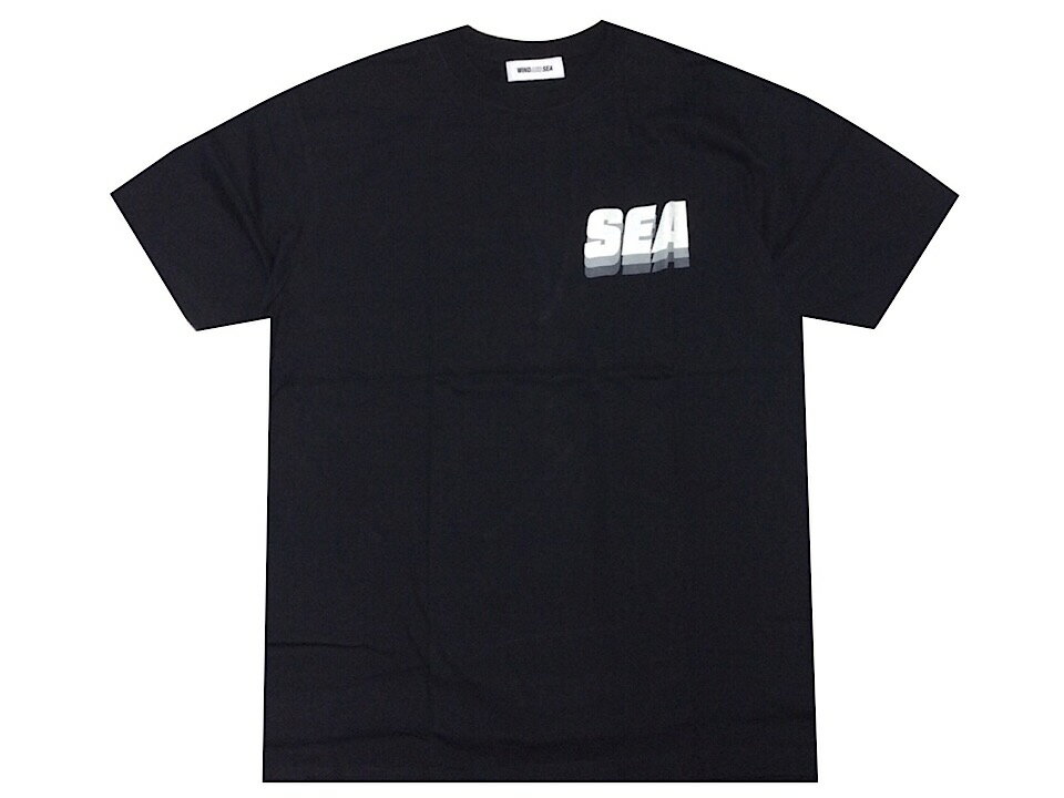 WIND AND SEA ウィンダンシー 22SS 新品 黒 alive tee アライブ Tシャツ バックプリント Tシャツ BLACK