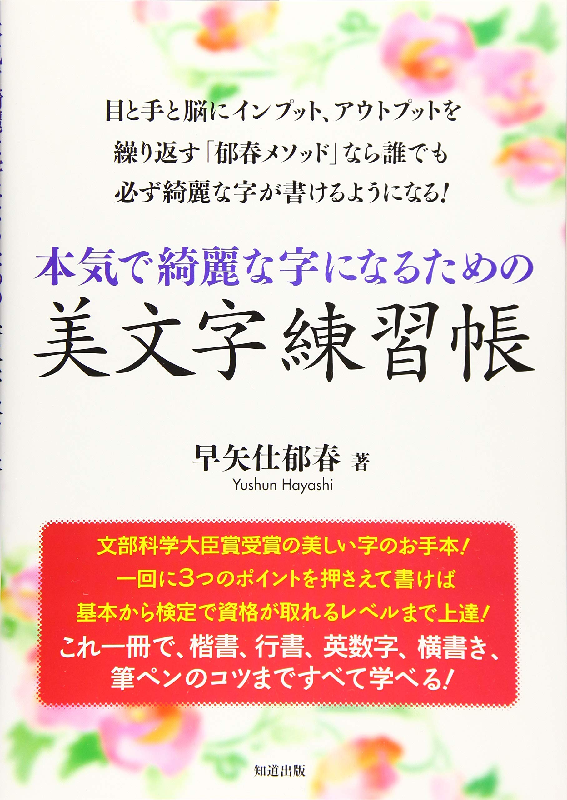 美文字練習帳 ペン字 筆ペン 練習用ドリル 書き込み式ノート 美しい字を書くための練習テキスト 基礎から学べる練習帳