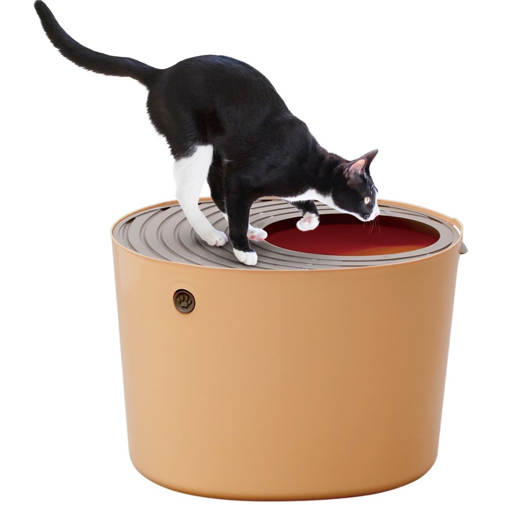 Mat, Cover Set - 猫トイレ 本体 上から入る 飛び散り防止 ペット用 トイレ容器 レギュラーサイズ オレンジ 猫砂の飛び散りを防ぐ 掃除しやすい おしゃれ