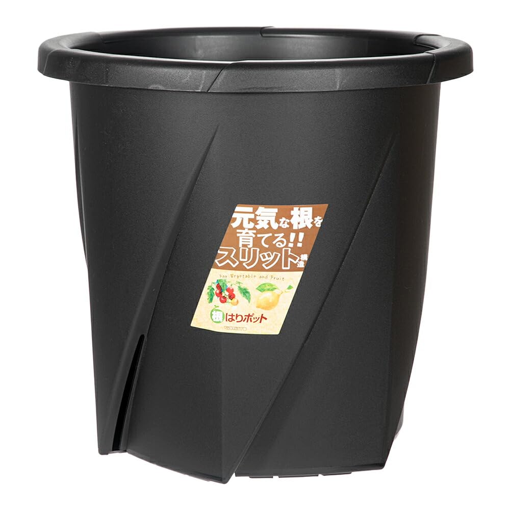 乐天商城 - スリット鉢 35型 ブラック 10号相当 植木鉢 プラスチック 大型 根はり 鉢 野菜 果樹 栽培用 園芸用ポット 菜園 鉢植え