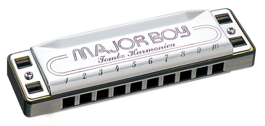 Harmonica - 10ホールハーモニカ F#調 ハーモニカ 楽器 テンホールズ ブルースハープ 初心者向け 練習用 音楽演奏 趣味 楽器用品