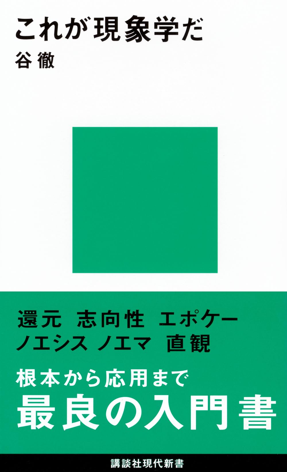 哲学書 講談社現代新書 思想 文学 解説書 入門書 専門書 哲学 論文 文庫本 ソフトカバー 書籍