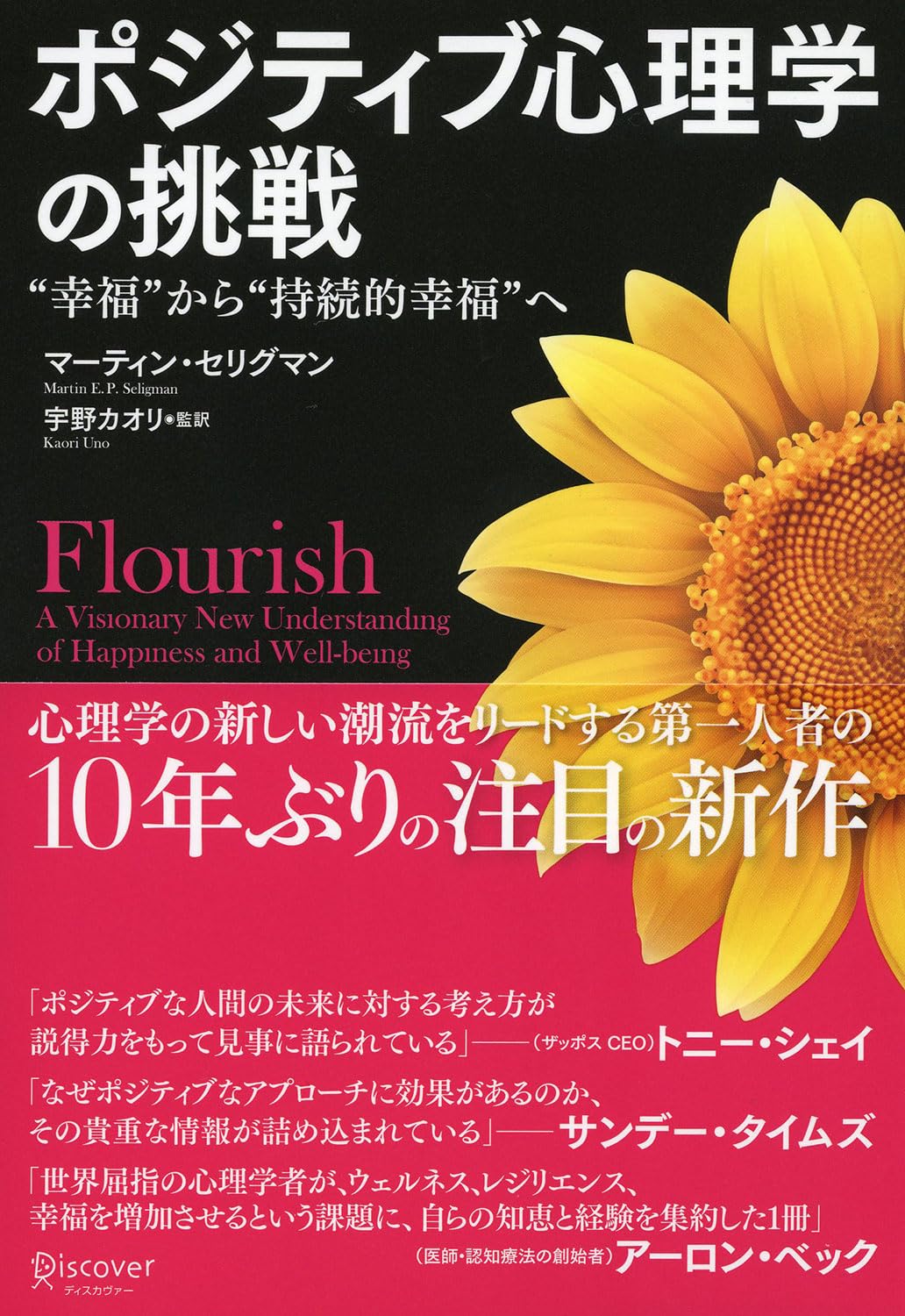 Happiness theory, psychology, books, the pursuit of sustainable happiness, self-improvement, mental care, practical guide, life, abundance, academic approach, methods to increase happiness
