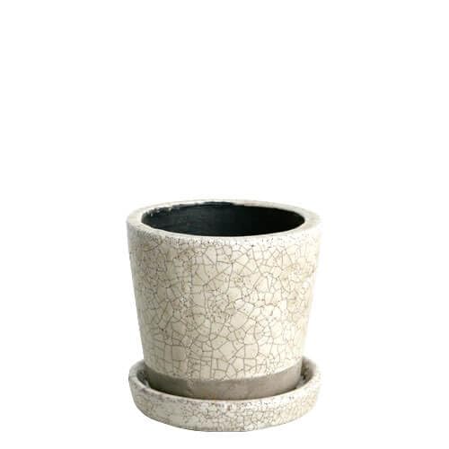 樂天商城 - 植木鉢 3.5号 陶器 プランター 受け皿付き 穴あり アイボリー 園芸用品 高さ9.5cm 直径10.5cm 底面8cm ガーデニング 鉢植え
