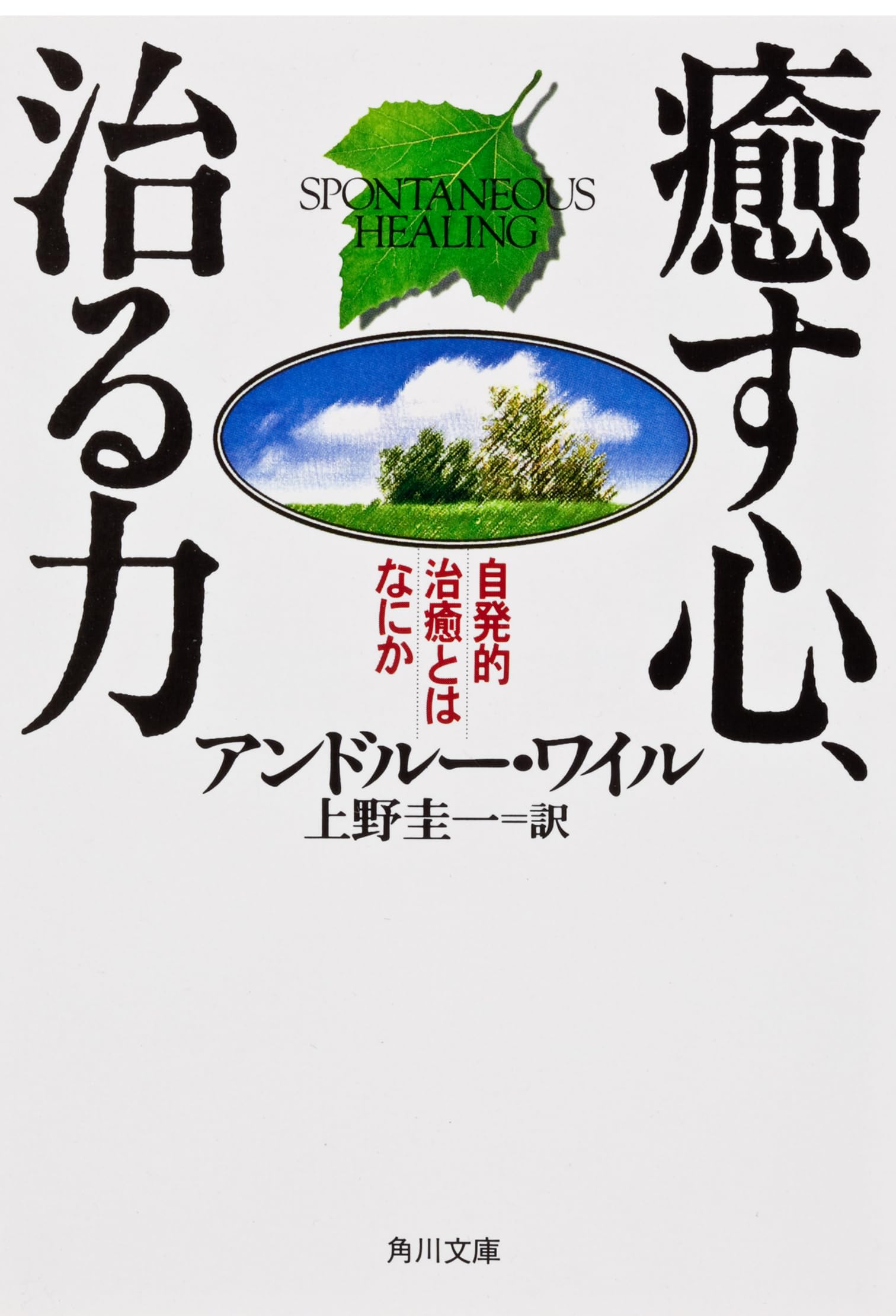 宙出版 Misshiikomikkusupinkupanchi! - 文庫本 癒す心 治る力 心理学 健康 精神医学 読み物 書籍