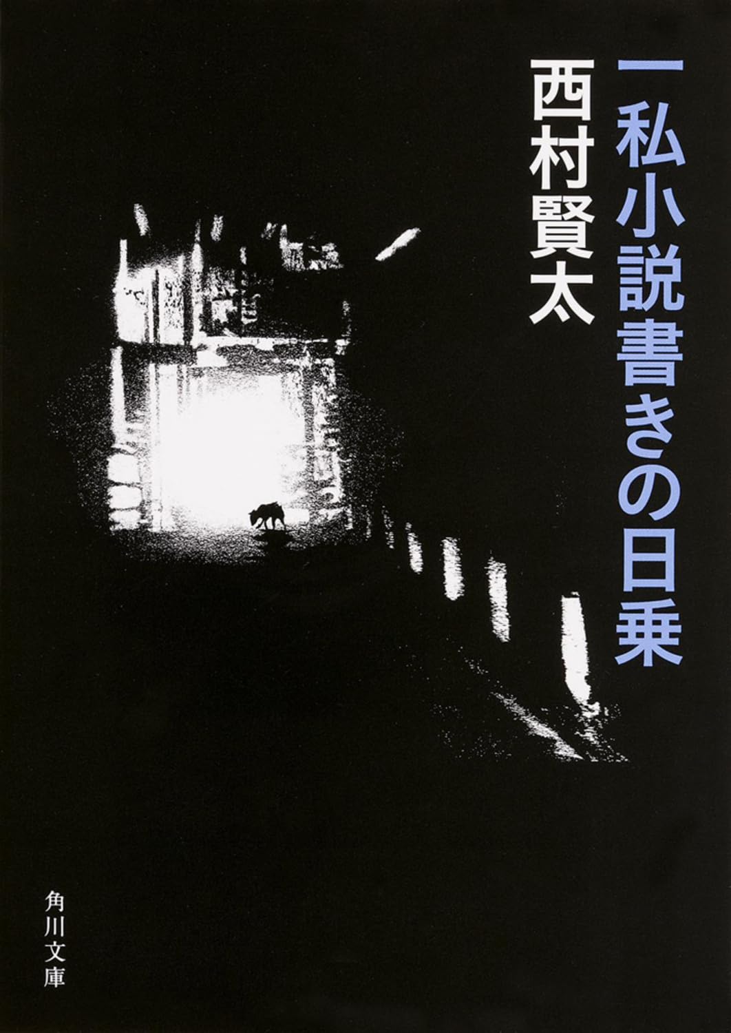 小説 文庫本 現代文学 読書 趣味 教養 読み物 文学作品 単行本