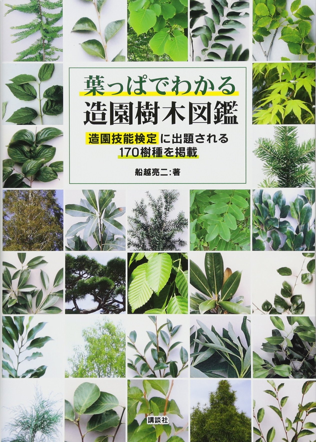 樂天商城 - 造園樹木図鑑 葉っぱで見分ける 樹木図鑑 170種掲載 庭木 樹木 識別 図鑑 樹木図鑑 葉でわかる 庭木図鑑 庭木の種類