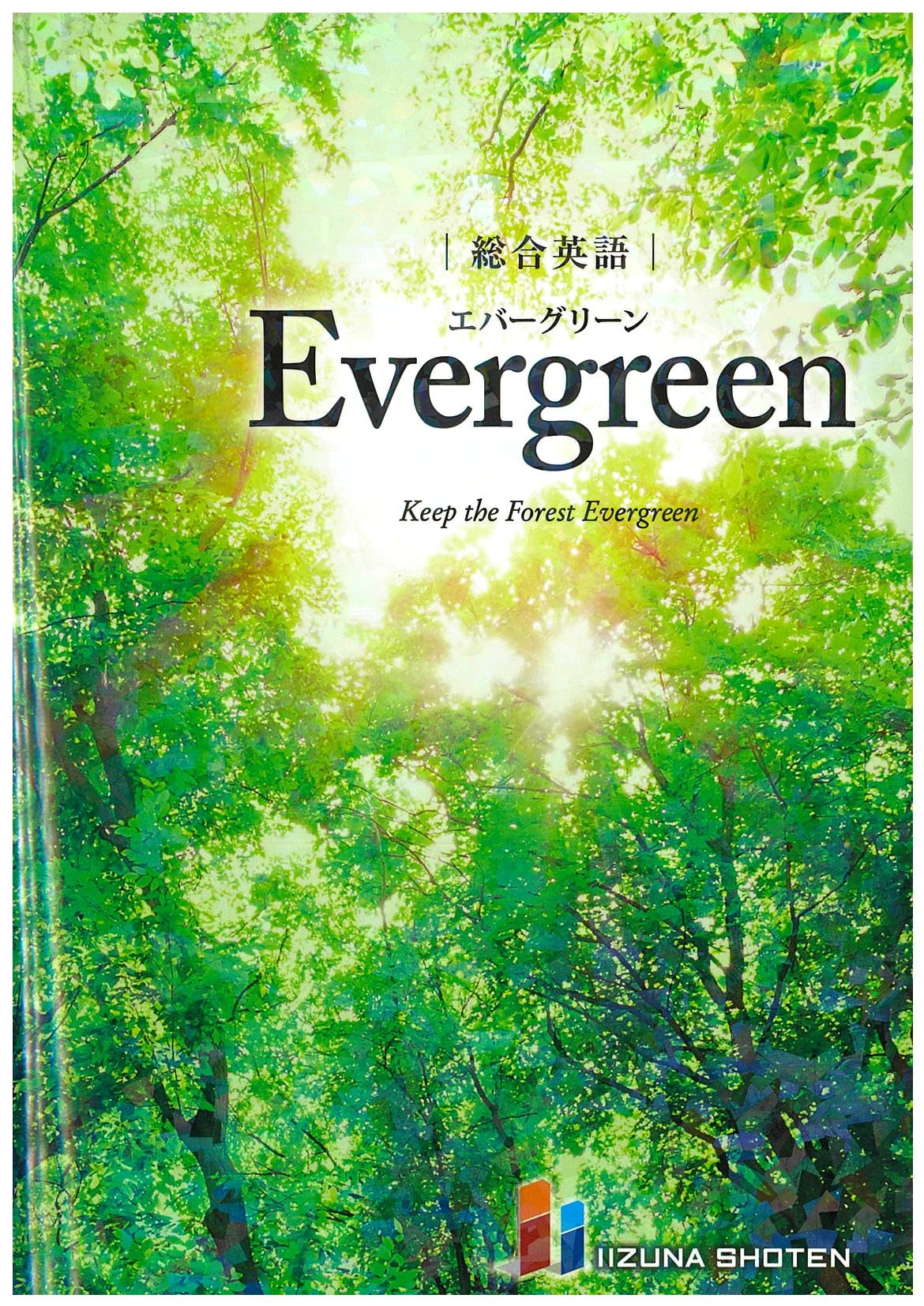 英語 参考書 文法書 学習 参考書 高校生 受験 基礎から応用まで網羅 解説 わかりやすい 演習問題付き 英語学習 教材