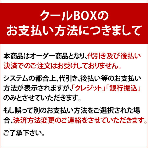 内面ステンレスタイプKRクールBOX-S 20LNS 高機能保冷剤セットオンリースタイルだけの最強 冷え冷えセット!通販格安セール情報 楽天 通販