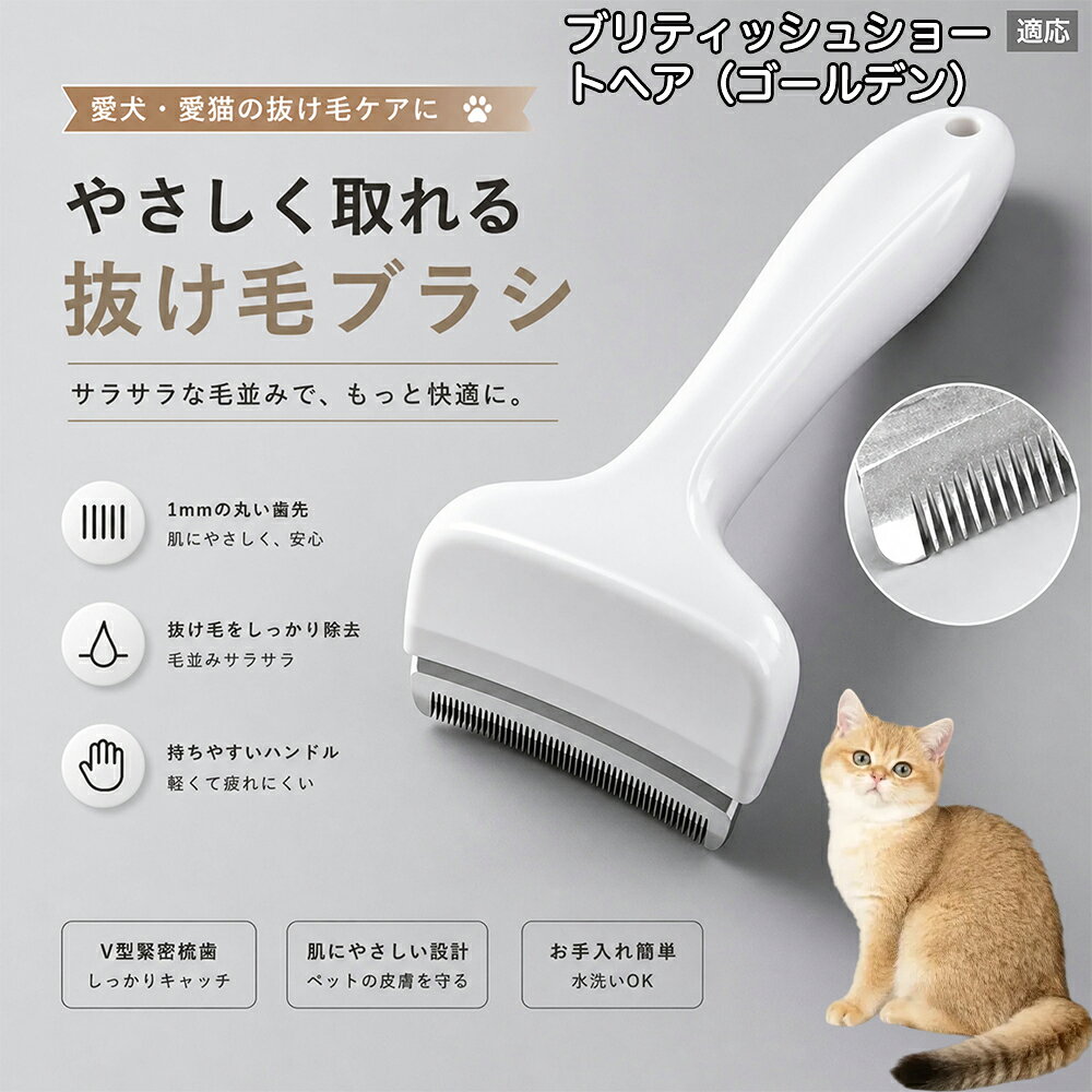 【最大40%OFFクーポン配布中】 ブリティッシュショートヘア（ゴールデン） 抜け毛ブラシ 犬 猫 抜け毛取り 抜け毛除去 アンダーコート グルーミング ブラッシング ペットブラシ 毛玉予防 換毛期 対策 犬猫兼用 スリッカー 掃除