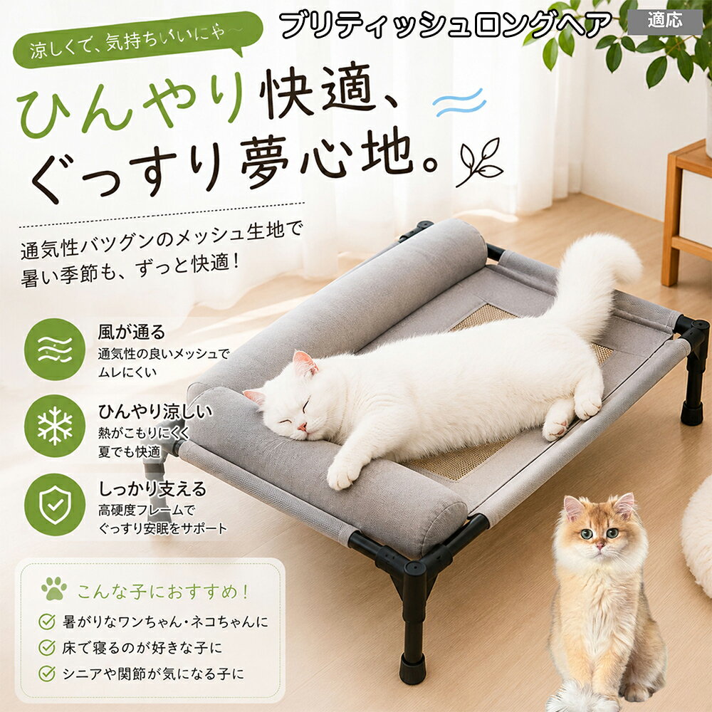  ブリティッシュロングヘア British Longhair ペットベッド 脚付き 犬用 ドッグコット 夏用 クール ペットコット 犬 ベッド キャンプ メッシュ 通気性 蒸れない 洗える 中型犬 大型犬 猫 高床式ベッド 17cm