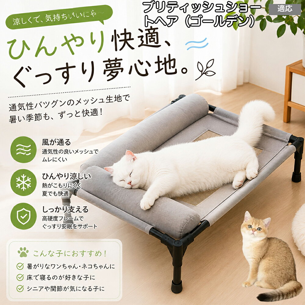 Bed Cuddler - ブリティッシュショートヘア（ゴールデン） ペットベッド 脚付き 犬用 ドッグコット 夏用 クール ペットコット 犬 ベッド キャンプ メッシュ 通気性 蒸れない 洗える 中型犬 大型犬 猫 高床式ベッド 17cm