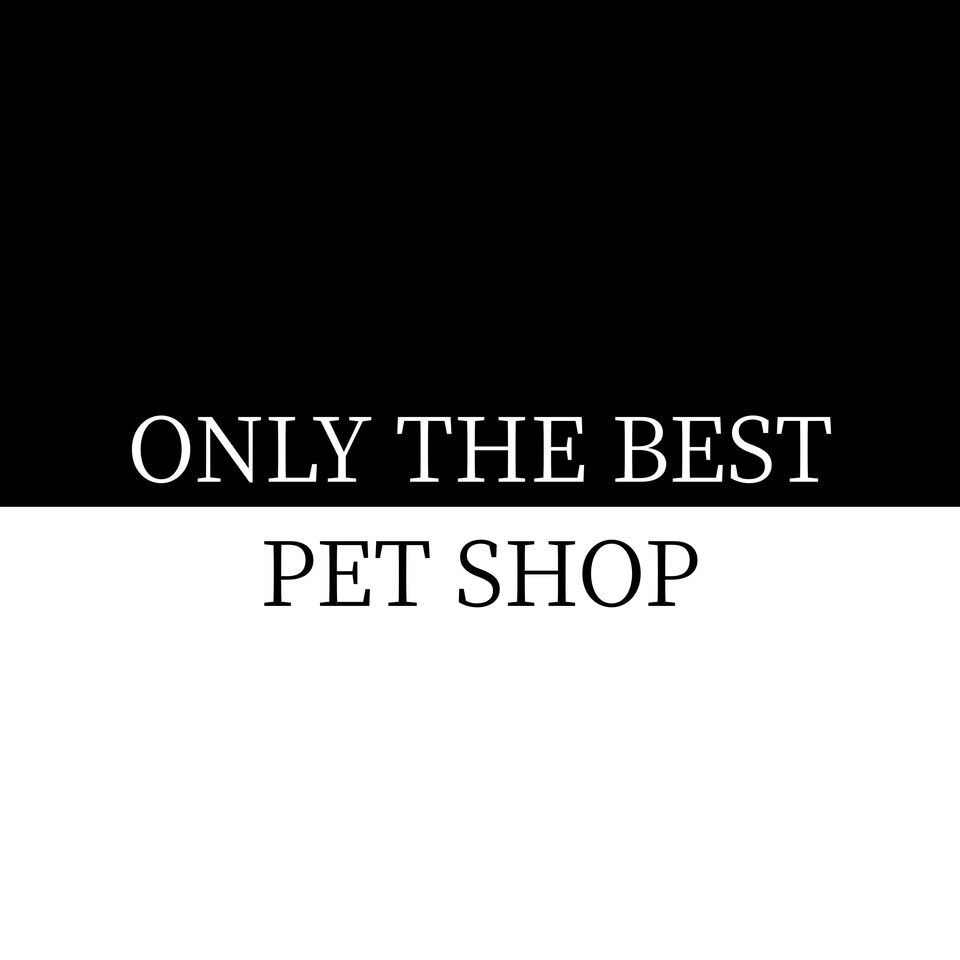 Shop icon
