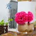 カーネーション氷華 氷アート カーネーション 本物の氷 飾る氷 儚い 透明度 造花 アート 特別な時間 氷の華 花氷 ギフト サプライズ 演出 雰囲気作り 記念...
