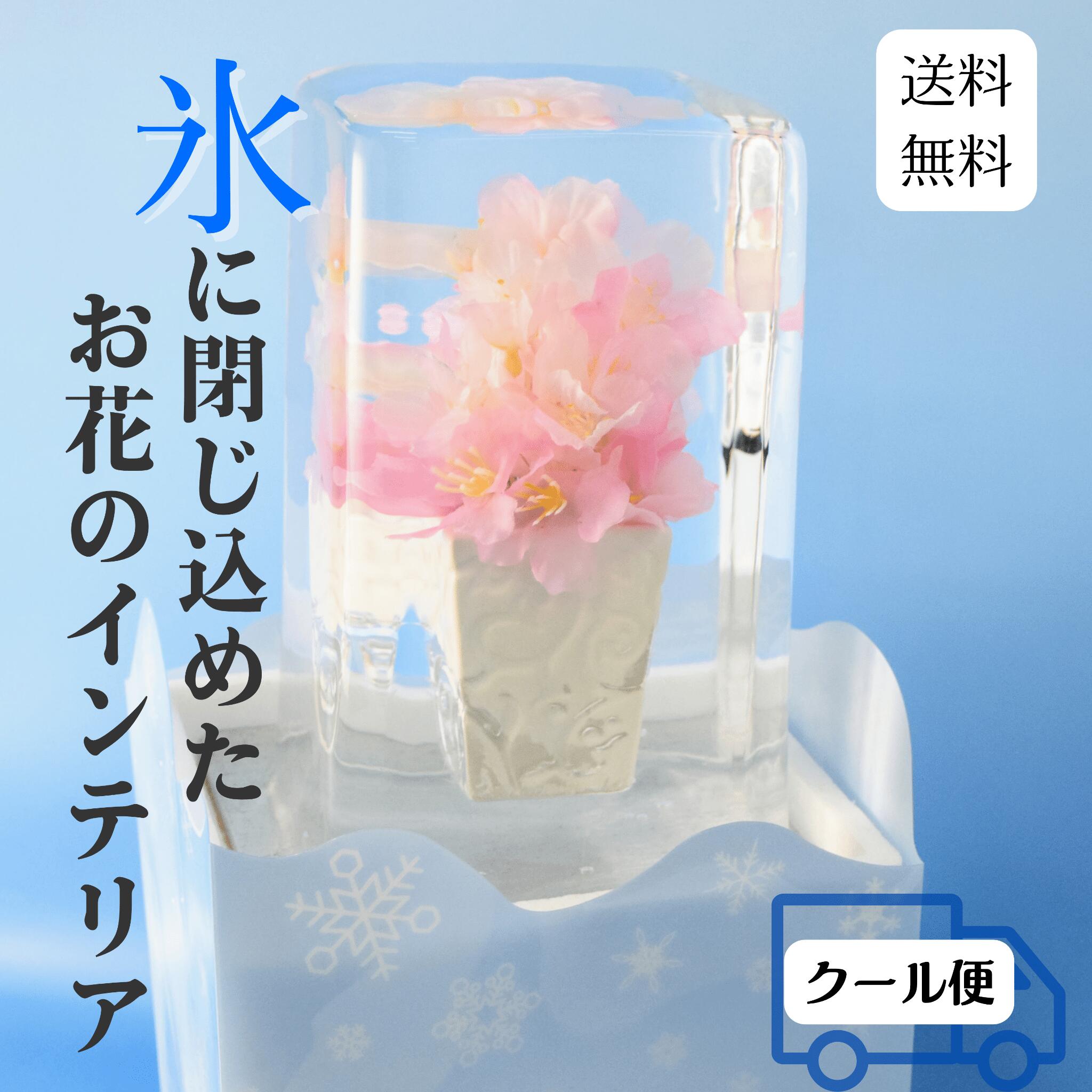 ɹ() ɹ 른ѥ   ɹ ѳ Ʃ  ¤  ̤ʻ ɹβ ɹ ե ץ饤 ǰ ´ȼ ...