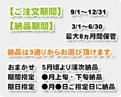 【送料無料】保管クリーニング福袋5点まで詰め放題♪高品質で選んで頂き、2万人以上がキレイを実感中♪「スマクリ保管専科5点パック」保管クリーニング