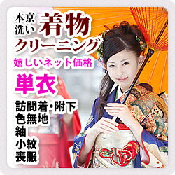 単衣/色無地/本京洗い