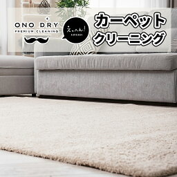 シャギー絨毯 ＜縦160～200cm 横180～300cm＞ クリーニング