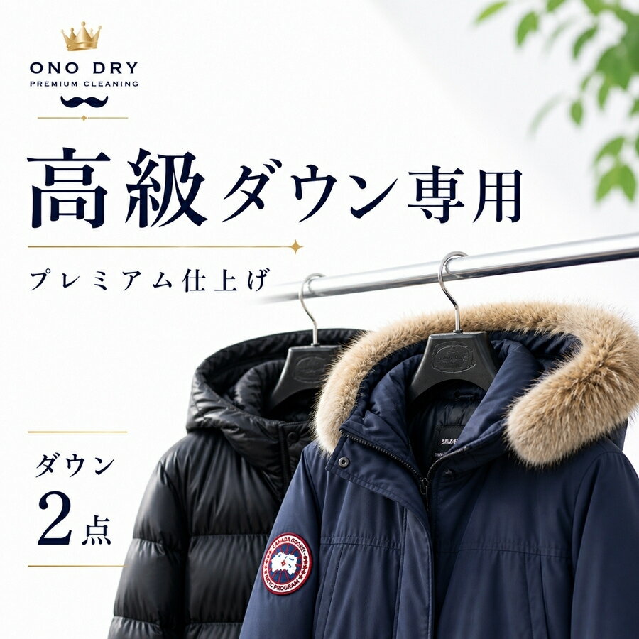 クリーニング　プレミアムダウン2点 クリーニングパック 小野ドライ【サービス特集認定商品】高級 ダウンジャケット
