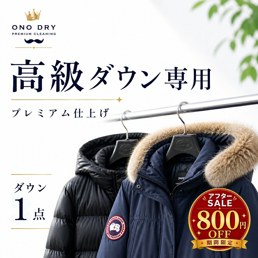 クリーニング【アフターSALE 800円OFF】プレミアムダウン1点 クリーニングパック 小野ドライ ...