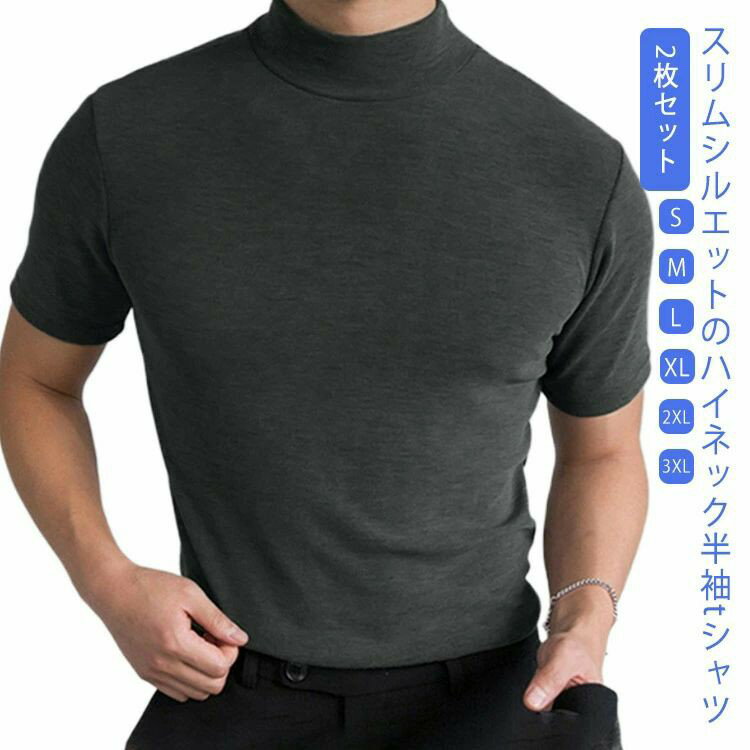 Rakuten - メンズ 2枚セット ハイネック Tシャツ トップス ゴルフウェア ストレッチ 半袖 無地tシャツ 夏 カジュアル トップス シンプル モックネックシャツ 春夏 半袖Tシャツ スリム 通勤 通学 紳士 ゴルフtシャツ スポーツ ランニング カットソー