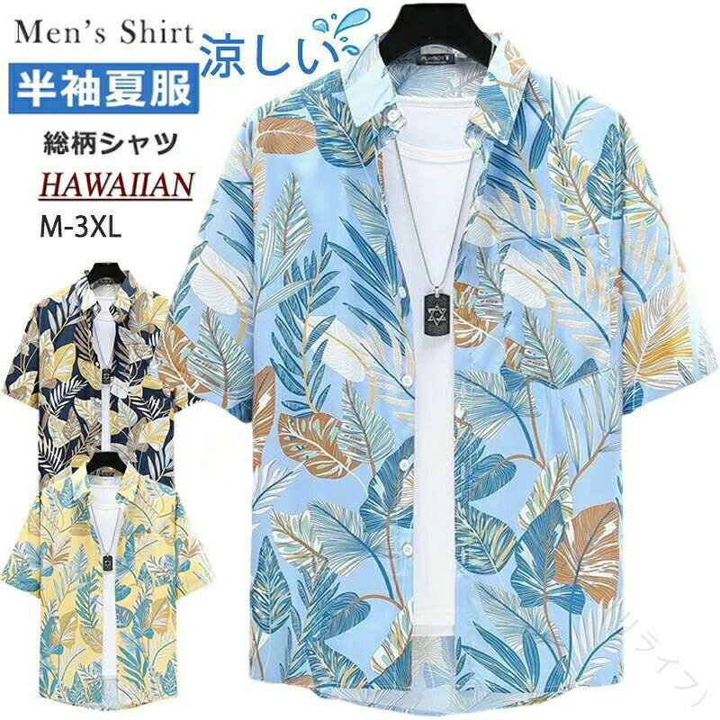 ��� ��ǥ����� �˽����� �����ϥ���� �ϥ磻����� ���ߥ���� Ⱦµ �礭�������� ���� ��������� �����奢�륷��� �ӡ�������� �����ץ󥫥顼�����...